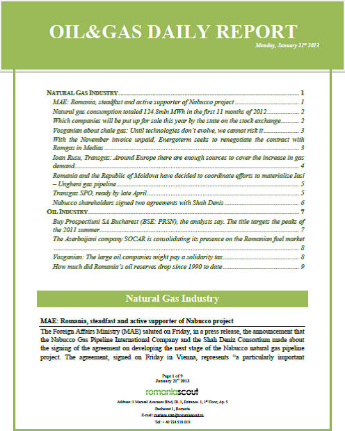 Sample Oil&Gas Daily Report