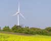 EUR 59mln loan from EBRD for a wind park in Galati